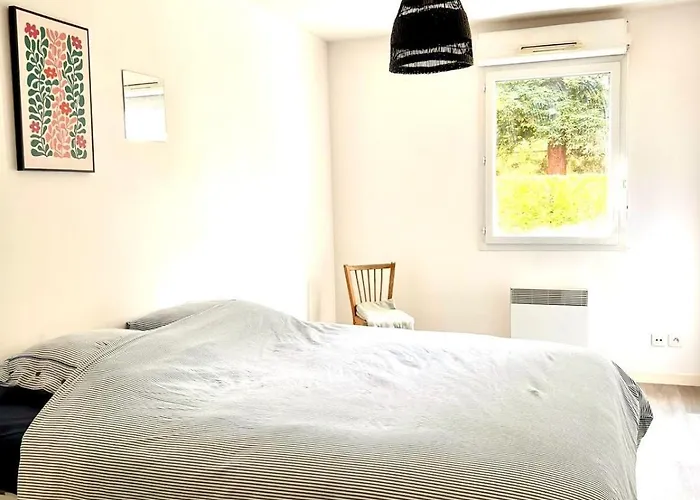 Daire Spacieux Avec Jardin, A 5 Min A Pied De L'abbaye Aux Dames Et 10 Min A Pied Du Centre Caen